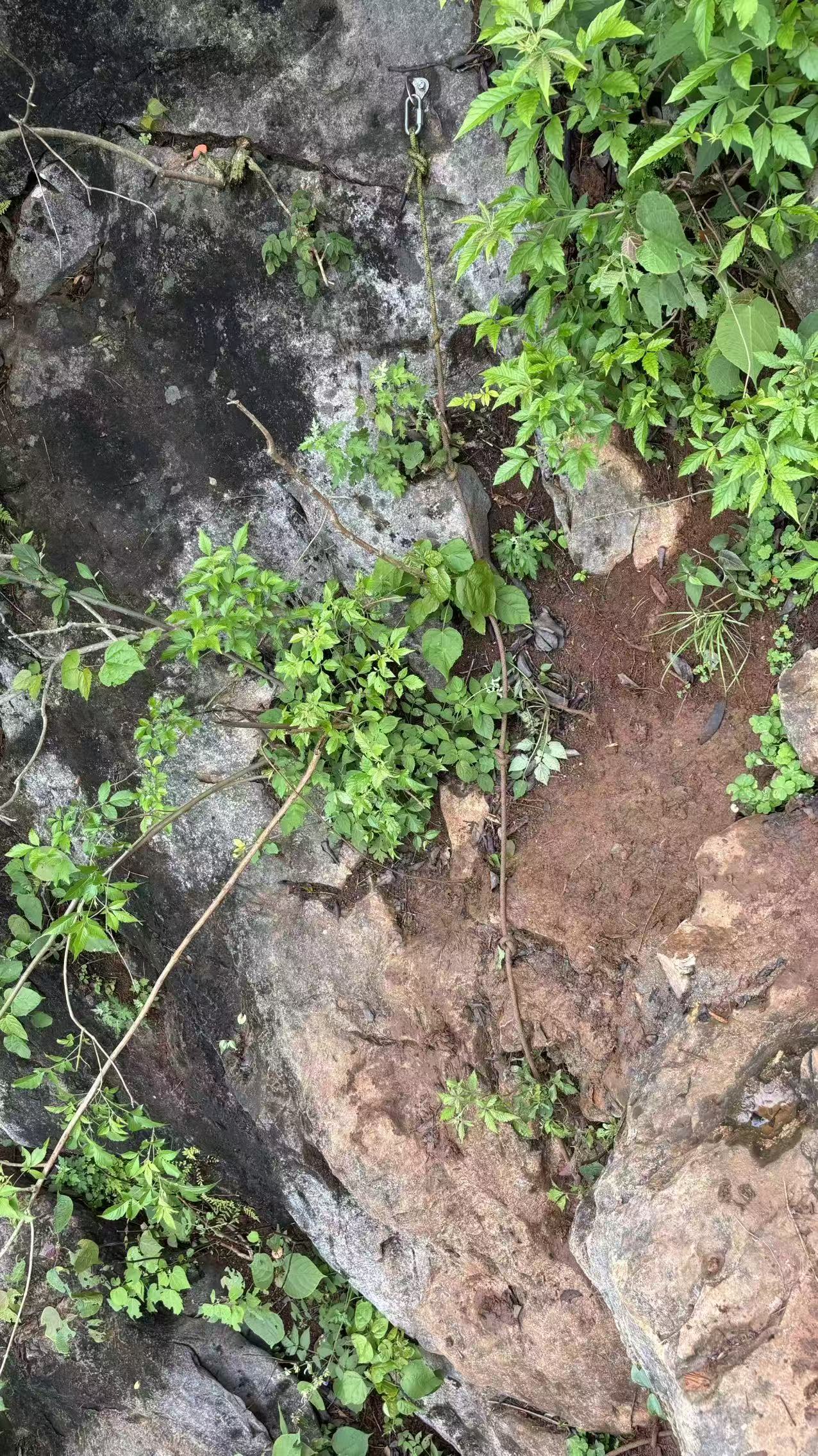 ç¬¬ä¸å¤ç»³é