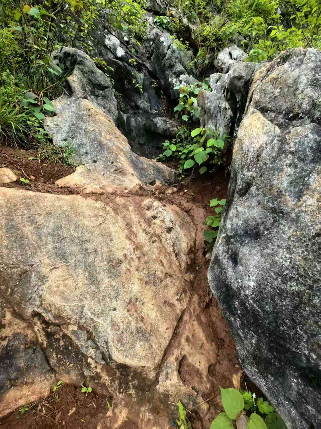 æ³¥å·´è·¯