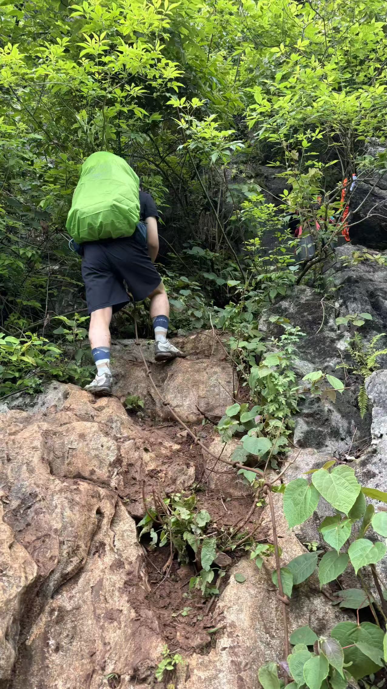 ç¬¬äºå¤ç»³é