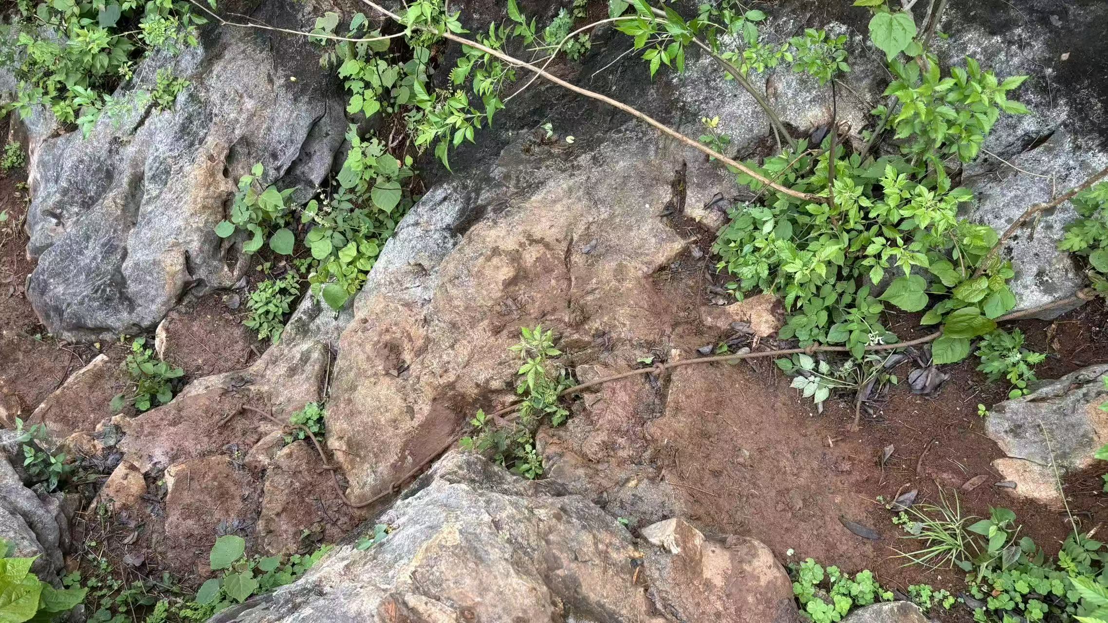 ç¬¬ä¸å¤ç»³é